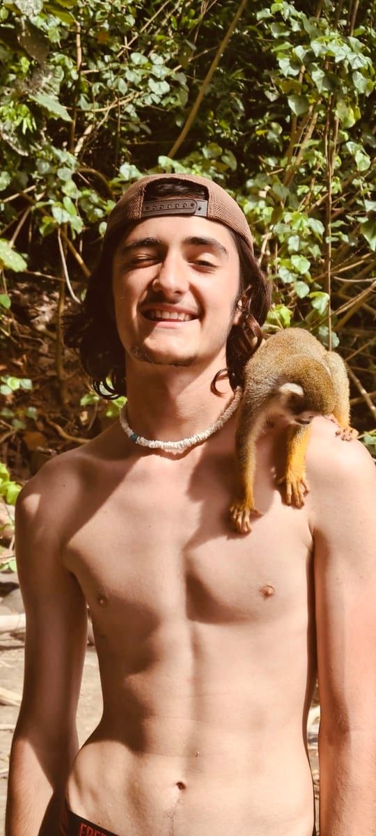 Profil de Francesco